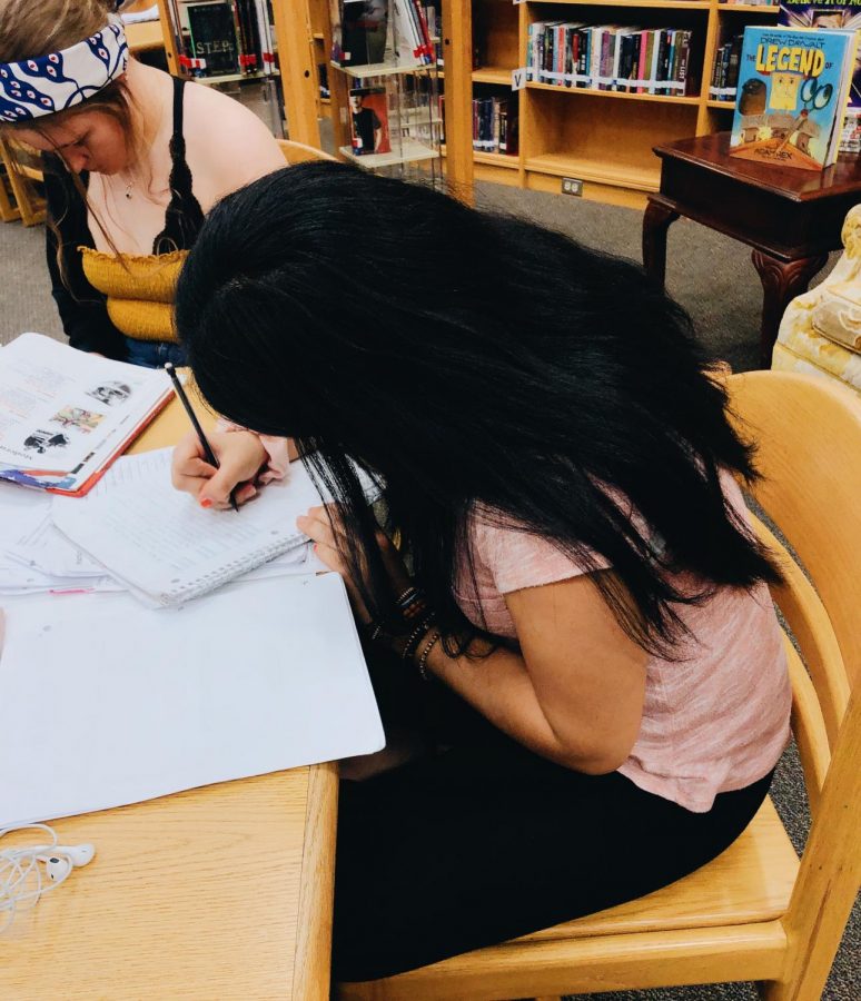 Devany Rodriguez, sophomore, works on her English homework in the library during her lunch block.