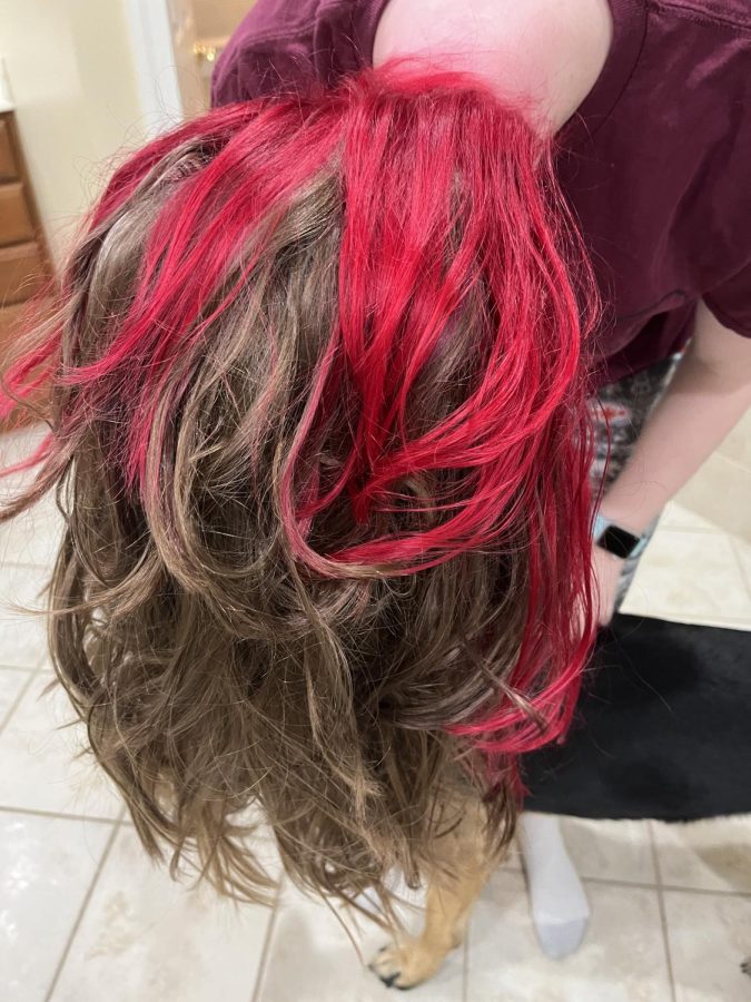 Kate has been dying her hair for over a year and a half. 
I have dyed my hair over 10 different colors