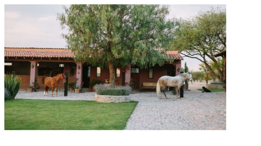 Monse Alonso's family's ranch in Mexico.