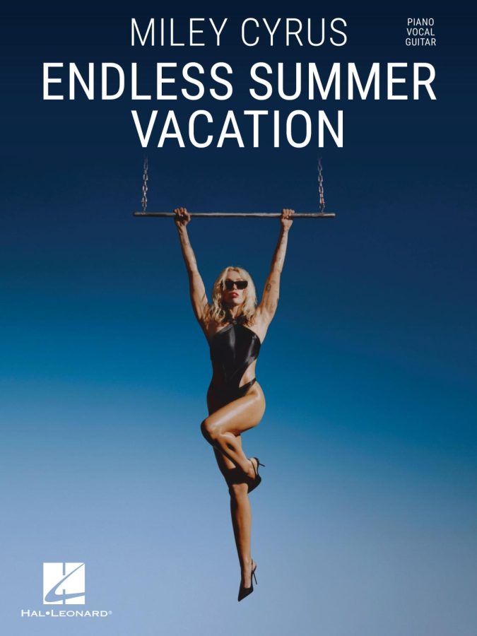 Endless Summer Vacation Album Review