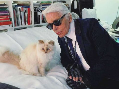 Choupette (left) and Karl Lagerfeld (right).
