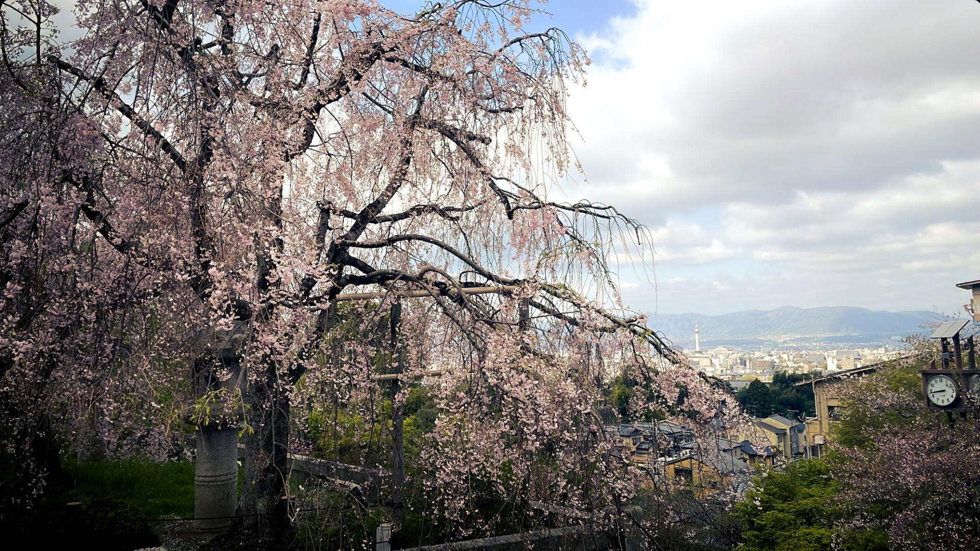 Heritage High School's Trip to Japan in 2025