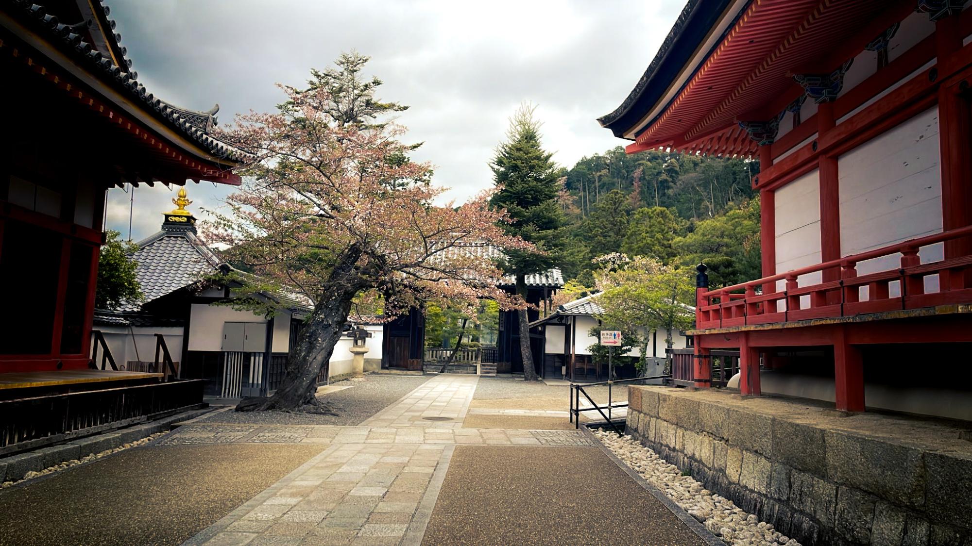 Heritage High School's Trip to Japan in 2025